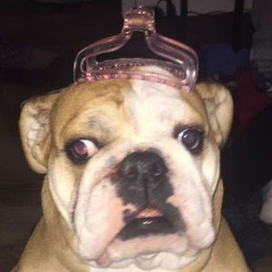 Meet your Posher, Paris